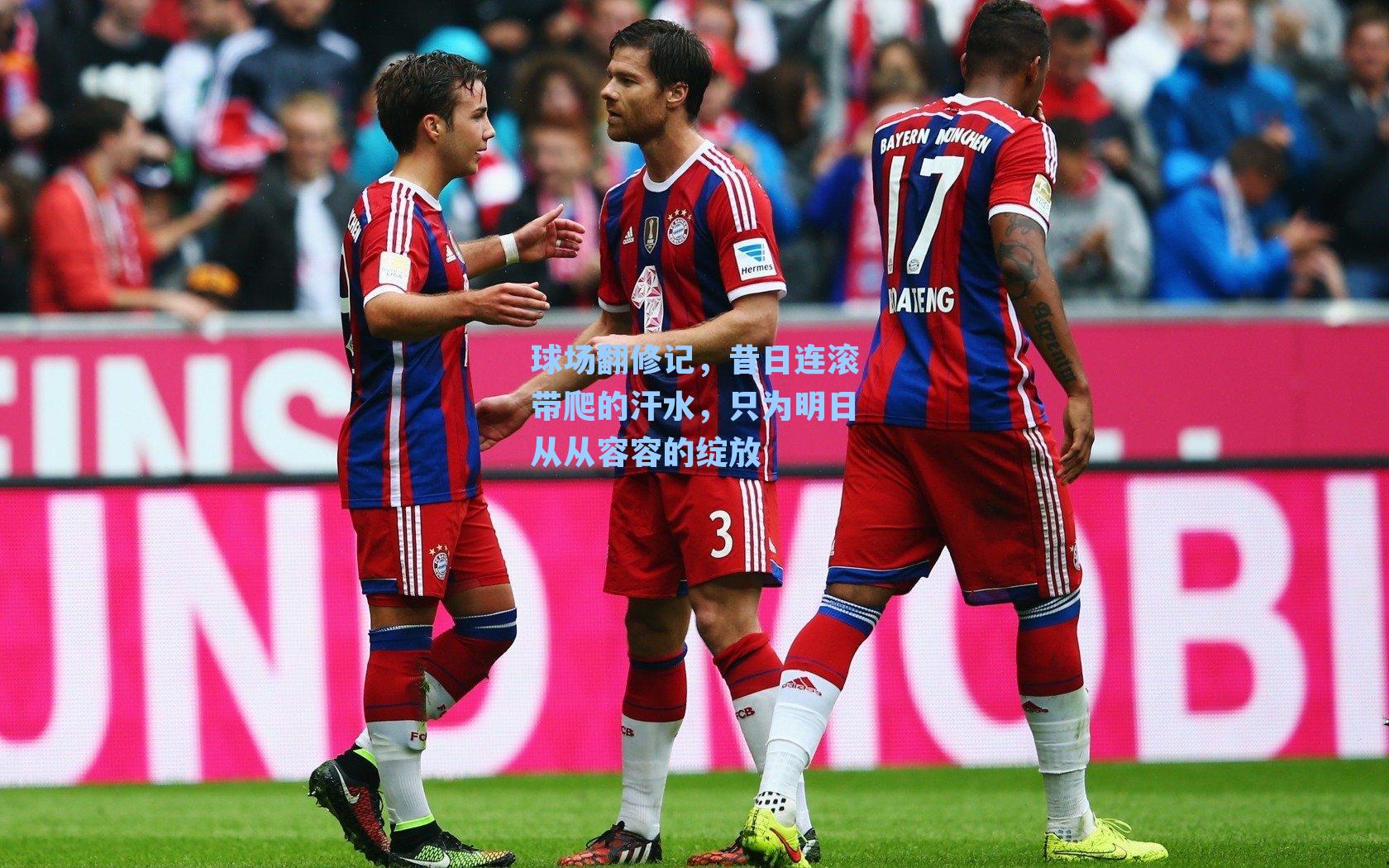 球场翻修记，昔日连滚带爬的汗水，只为明日从从容容的绽放